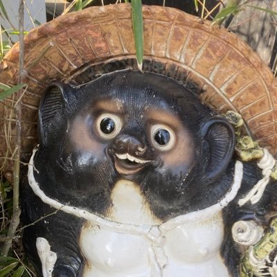 kotastutako's profile picture. 