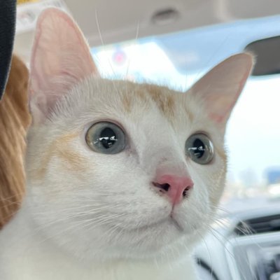 leo52222319's profile picture. 