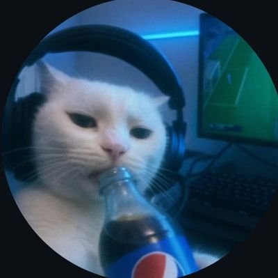 TechHuntX's profile picture. 
