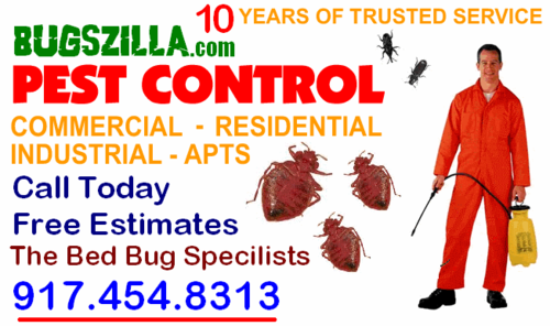 Residential and Commercial Bed Bug Exterminating Services
