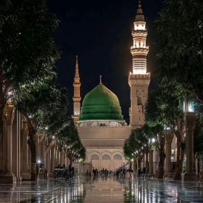 lizahamdan22's profile picture. وكفى بالله وكيلا