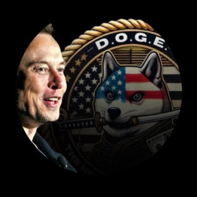 Dogefathermusk4's profile picture. 