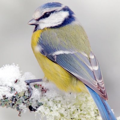 h___h6n's profile picture. 