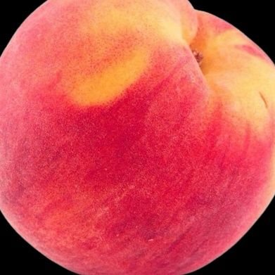 mieberas's profile picture. hayday farmer 🌽🐄👩🏼‍🌾🌾