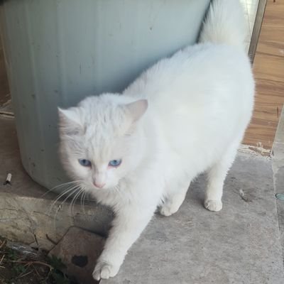 not_here_4_dat's profile picture. 