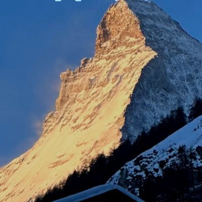 danielvdegreiff's profile picture. 