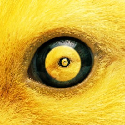 nicdunz's profile picture. chef @openai