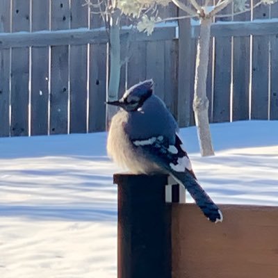 DaisyYEG's profile picture. 