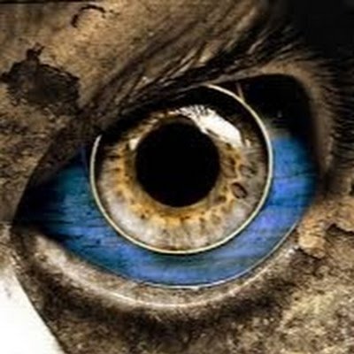 Waenz93's profile picture. 