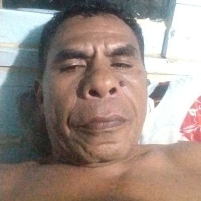 udin33791's profile picture. 