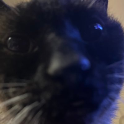 PapaSmurf_Val's profile picture. 22 | Radiant