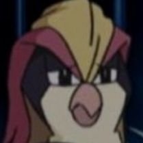Ot_Pidgeot's profile picture. Hi. I'm just a bird who likes pokemon and kirby and stuff. Age : 23. I love video games and animes. I follow back 🐦