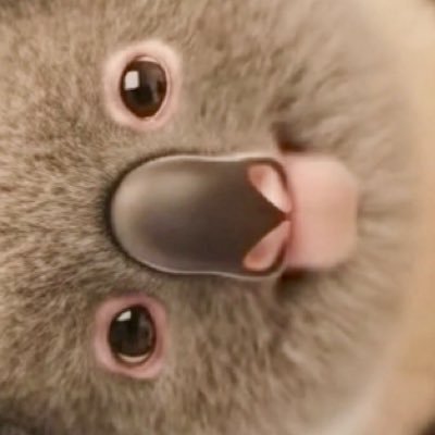 I0IOl0's profile picture. freedom of expression