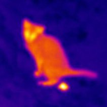 akrnmg's profile picture. 마구