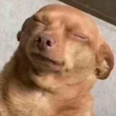 cr_alessio's profile picture. 🖤GIANT💙
#146 ladder #2gt