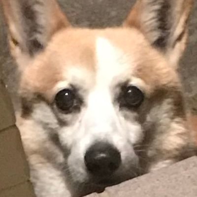 bboy_Blend's profile picture. a.k.aTAMAｰCCa.k.aヤマザナドゥ吉田