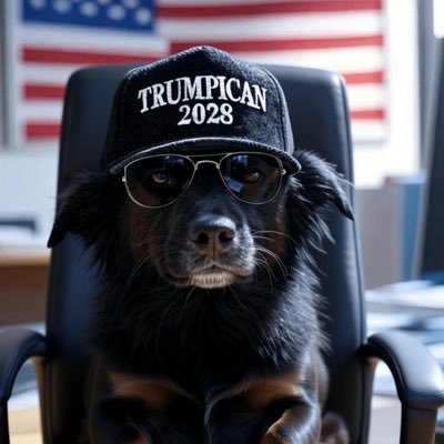 nato31207's profile picture. Wife Doggo Mum my post are non affiliated unfiltered opinions judging jokes ✝️ 🇺🇸🚔ARMY MAGA MAHA ICE