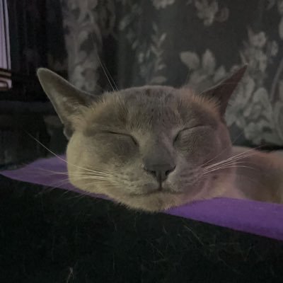 _hbmrszt_'s profile picture. 不破不乱/夜露死苦