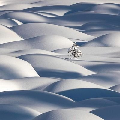 Yamani135's profile picture. أفَحَسِبتُم أَنَّمَا خَلَقْنَاكُم عَبَثًا وَأَنَّكُم إِلَينَا لَا تُرجَعُونَ:فَتَعَالَى اللَّهُ المَلِكُ الحَقُّ ۖ لَا إِلَٰهَ إِلَّا هُوَ رَبُّ العَرْشِ الكري