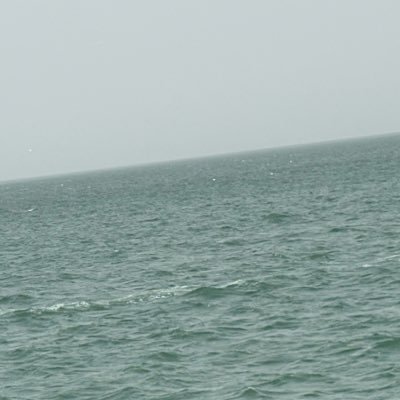 BaboBabo1640808's profile picture. The pain when I realize that they are actually gone and I will never get to see them again😔