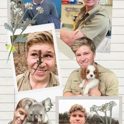 WadeHerter60878's profile picture. Stand up Comic, Actor, Writer, Filmmaker, Artist. If you have any shows available in stand up, voice overs, extra, or film work DM on this page.