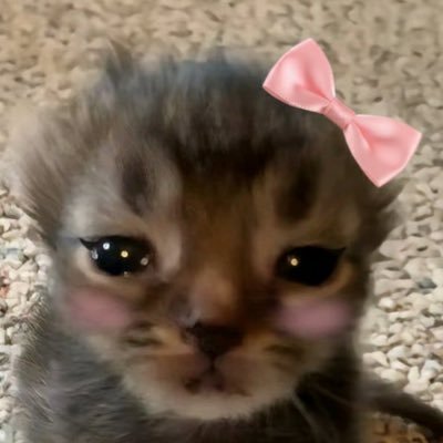 mariarceu's profile picture. 