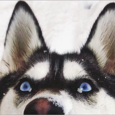 Andreea_Moon's profile picture. 