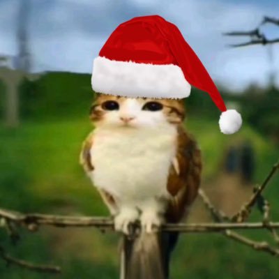 c4ndyf1sh's profile picture. 18yo | interested in emulation/jailbreaking | discord: c4ndyf1sh