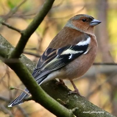 HTechlar's profile picture. 