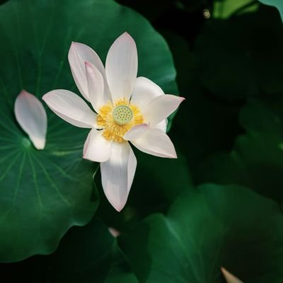 PraeKml's profile picture. Dissect fundamental nature of things. Wisdom-based learning. Believer of human potential.