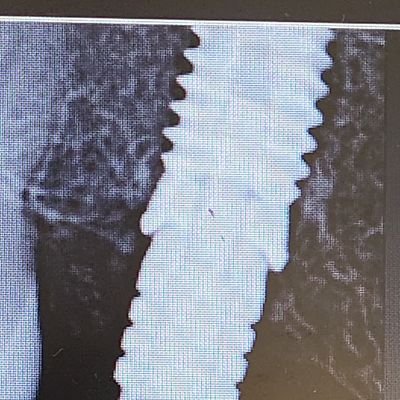 earsotoo's profile picture. 