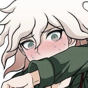 fujoshidudebro's profile picture. 