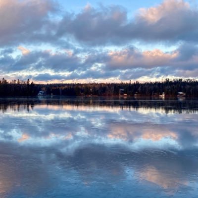 Lulu_AMP_'s profile picture. 