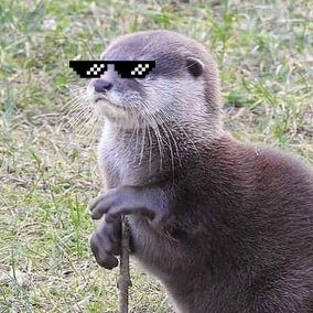 Enj0yTG's profile picture. 