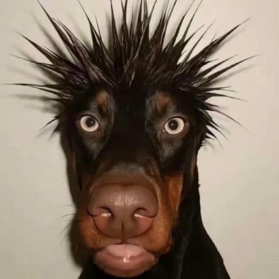 hungrng96842013's profile picture. Encrypted sharing