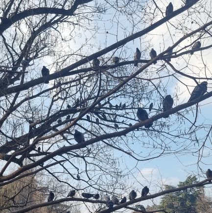 Micci097's profile picture. 