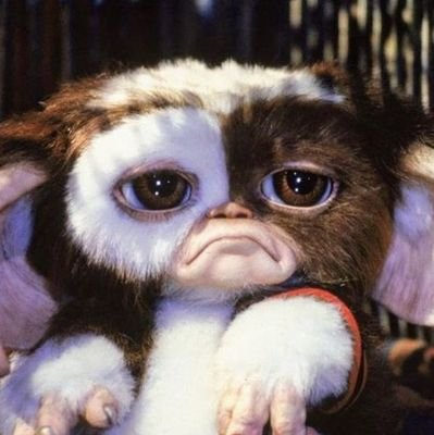 diaanavb's profile picture. 