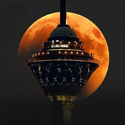 xsmax_520's profile picture. 