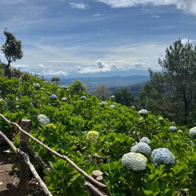 dungoniva's profile picture. Mulai lgi