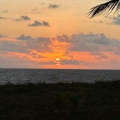 JacyraSilva's profile picture. 