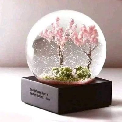 Ryu1116miuD's profile picture. اللهُ يَبْسُطُ الرِّزْقَ لِمَنْ يَشَاءُ وَيَقْدِرُ وَفَرِحُوا بِالْحَيَاةِ الدُّنْيَا وَمَا لْحَيَاةُ الدُّنْيَا فِي الْآخِرَةِ إِلَّا مَتَاعٌ)