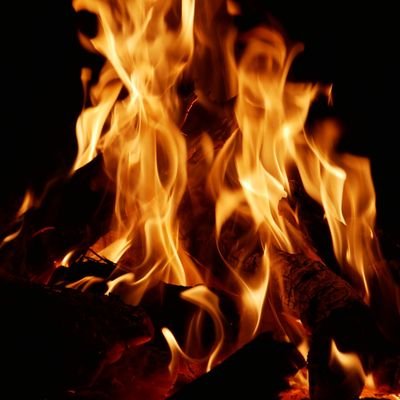 KxNiv86795's profile picture. 