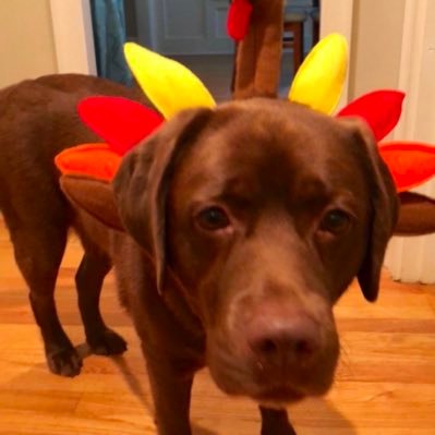 AliciaLalone's profile picture. Lover of:travel,unique food, rescuing dogs, HOUSE music,entrepreneurs,cars that turn left ,⚽️ Also on 🦋https://t.co/otBjQqUxnq