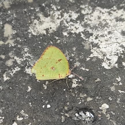 awara761's profile picture. 