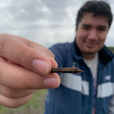 calscrubjay's profile picture. lizard dad, birdwatcher, scientist, formerly @Stanford