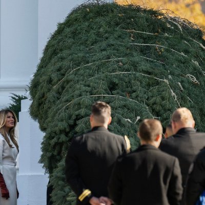 vivaagua609's profile picture. 