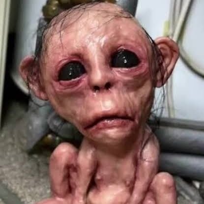 Clin_legacy1's profile picture. Feel Free to join my WhatsApp channel, ads and promotions is just a bonus, focused on winning 
https://t.co/xcBUrZSm0q