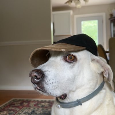 imricardo50's profile picture. 