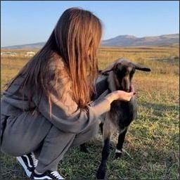 Dominik1815137's profile picture. The world is vast, depending on how big your heart is