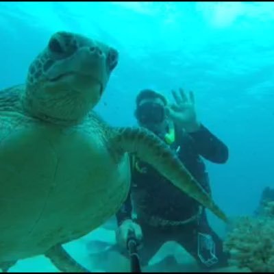 MrFeasey's profile picture. Dive rescuer
marine medical research data analysis
Master chef
